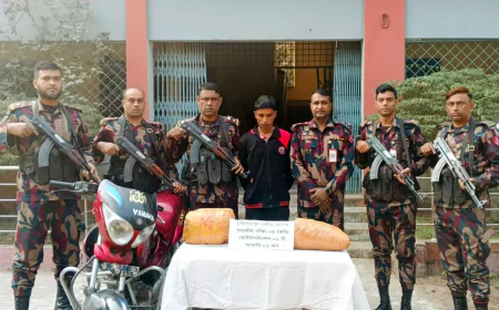 Drugs worth Tk 17.25 lakh seized in Kushtia