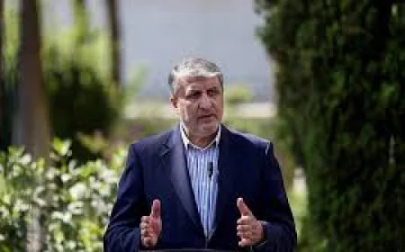 Iran ready to dilute highly enriched uranium if all sanctions lifted: nuclear chief