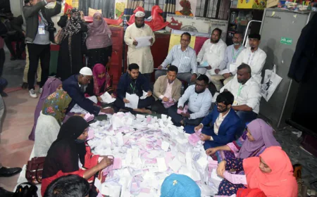 Vote counting begins as national polls ends peacefully