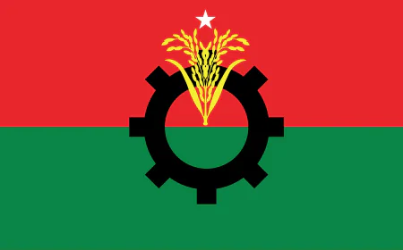 BNP clinches landslide victory with two-thirds majority in national polls