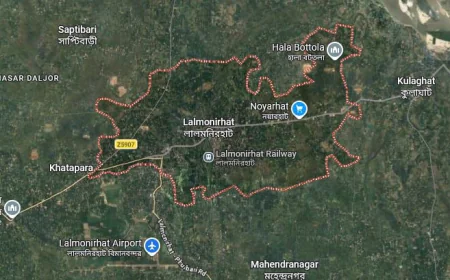 BNP sweeps all 3 seats in Lalmonirhat