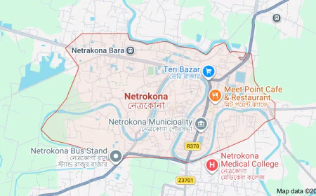 29th literary festival held in Netrakona