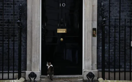 Paw patrol: Larry the cat marks 15 years at 10 Downing Street