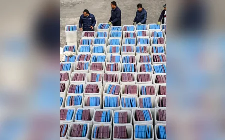 Nepal launches campaigns for first post-uprising polls