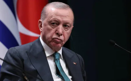 Erdogan postpones UAE visit, saying leader has 'health problem'