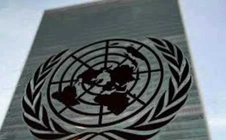UN calls for scam centre clampdown amid 'staggering' abuses
