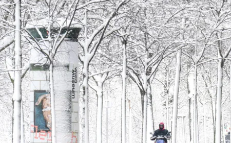 Austria snowstorm leaves five dead, road and power chaos