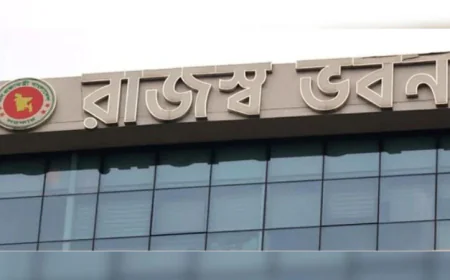 NBR introduces email-based OTP for expatriate taxpayers