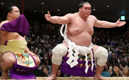 Sumo hit with fresh bullying scandal