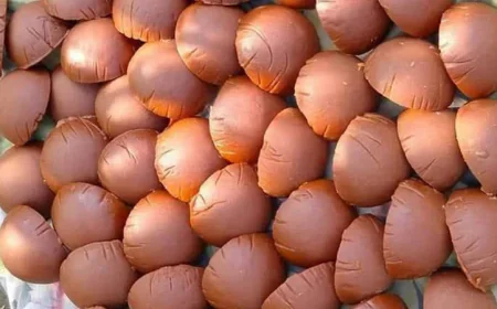 Production and trade of date palm turned into a thriving business in Rajshahi