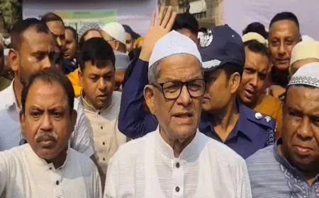 Govt working to restore non-functional state institutions: Mirza Fakhrul