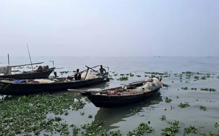 Fishing ban imposed in Padma-Meghna to protect Hilsa