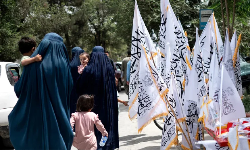 Millions Returned to Afghanistan Face Growing Hardships