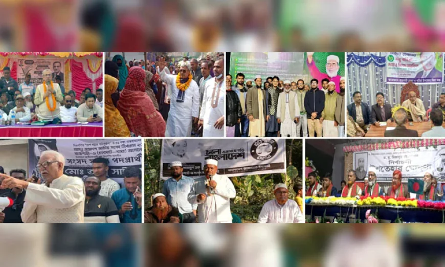 Tight contests likely in most Rajshahi constituencies