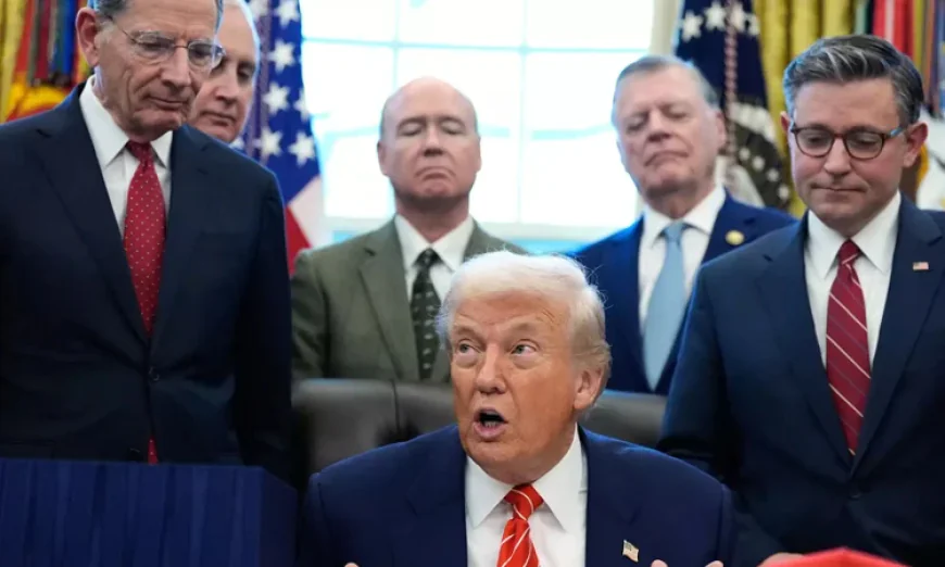 Trump suggests 'softer touch' needed on immigration