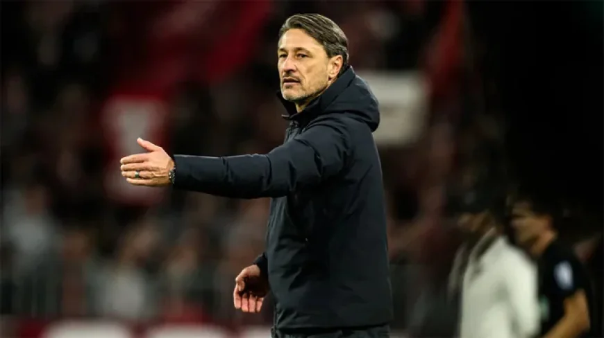 Dortmund dare to dream as Bayern's title march falters