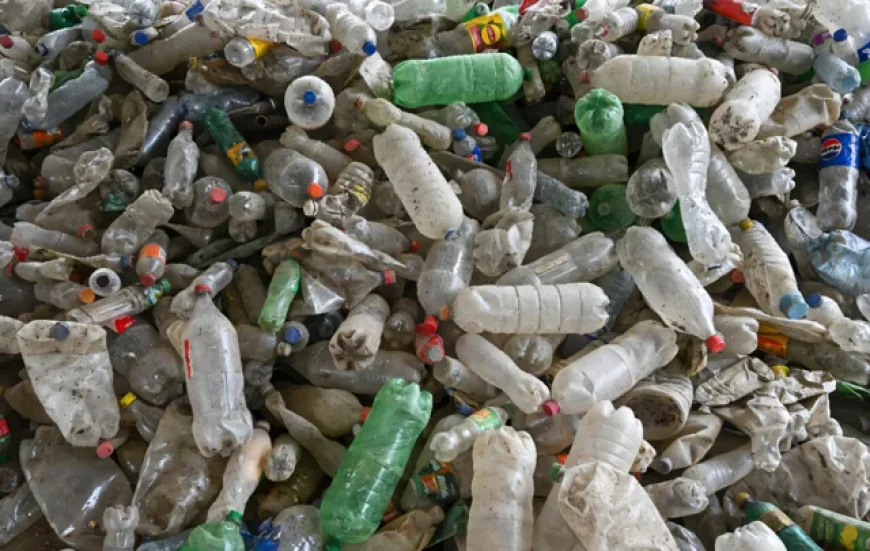 Chile's climate summit chief to lead plastic pollution treaty talks