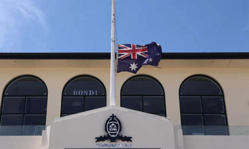 Accused Bondi killer Naveed Akram appears in court by video link