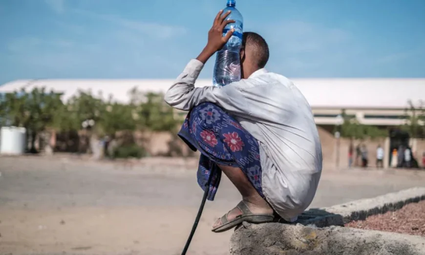 Eritrea refugees held, tortured in Egypt: NGO