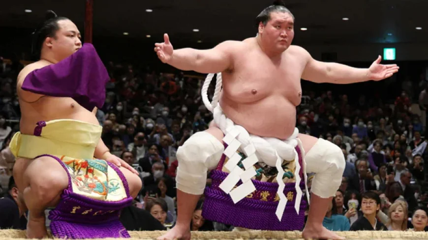 Sumo hit with fresh bullying scandal