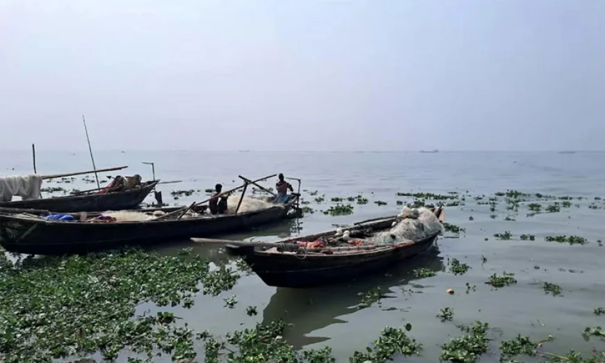 Fishing ban imposed in Padma-Meghna to protect Hilsa