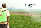 Drone technology used to spray pesticides in Niamatpur