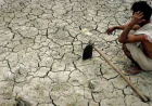 Study finds drought lowering crop yields in Barind region