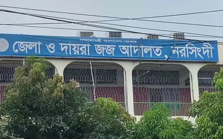 Seven placed on 8-day remand in Narsingdi rape, murder case