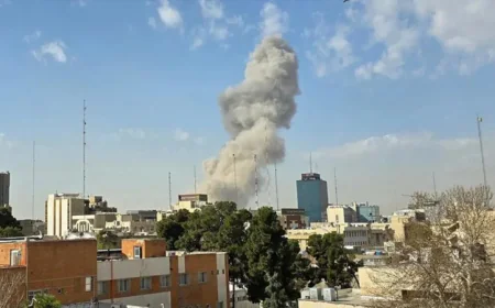 US, Israeli attacks killed 35 people in Iran's Fars province: media