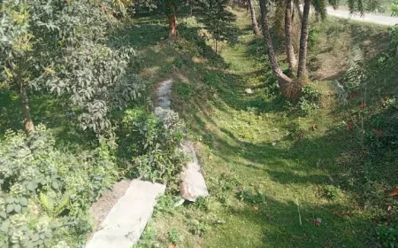 Soil fertility declining in Rajshahi due to lack of canal excavation