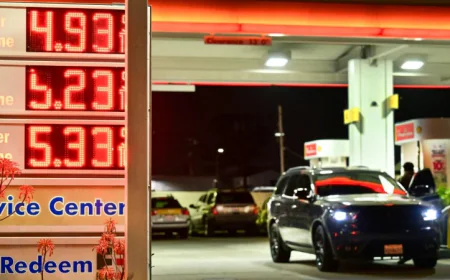 Rising US fuel prices risk sparking domestic wildfire for Trump