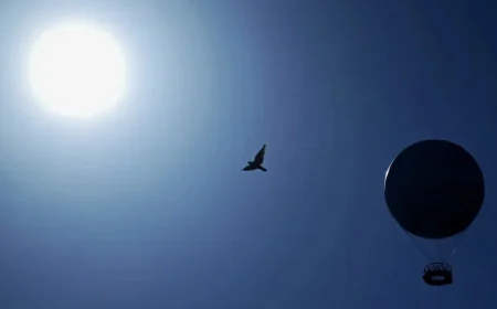 February fifth warmest on record, extreme rain in Europe: EU monitor