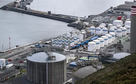 Asia stocks rebound after oil falls sharply