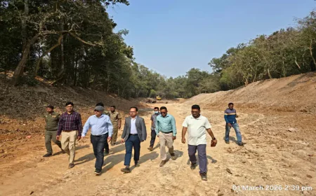 Renovation of Gargaria Lake begins to protect biodiversity in Madhupur forest