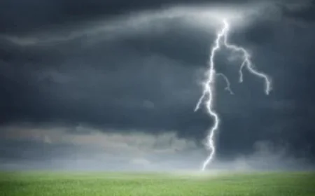 Lightning strike kills two farmers in Naogaon