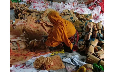 Badhan’s fortune changes with shopping bag business in Rajshahi