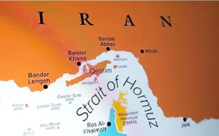 Japan not currently mulling maritime ops despite Trump pressure over Hormuz