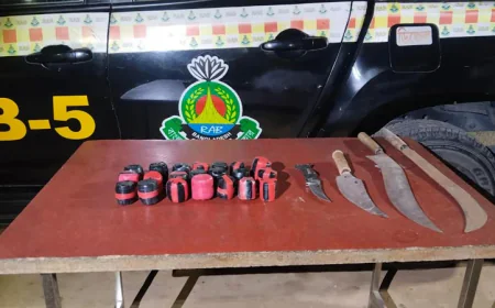 Cocktail-like explosives, local weapons recovered in Rajshahi