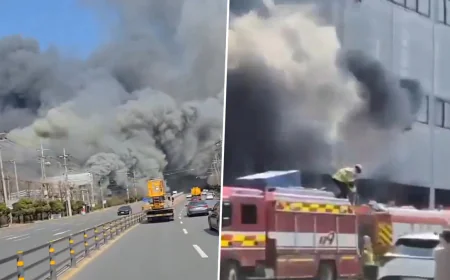 14 missing in South Korea car plant fire: authorities