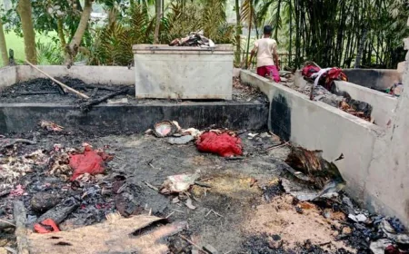 Five houses, four cattle gutted in Kurigram fire