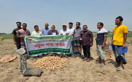 Farmers urged to use soil-based fertilizer to protect soil health