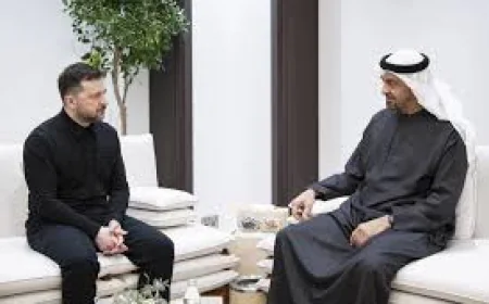 Zelensky says Ukraine, UAE 'agreed to cooperate' on defence