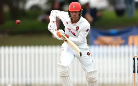 Test star Carey the hero as South Australia win Sheffield Shield final