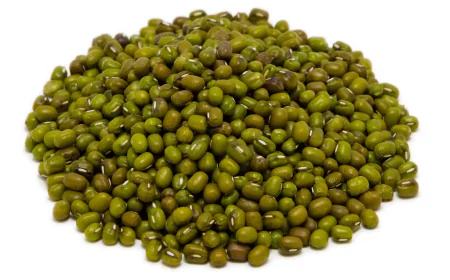 Potential for bumper mung bean yield in Patuakhali