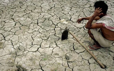 Study finds drought lowering crop yields in Barind region