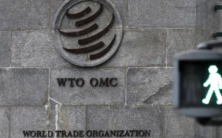 E-commerce tariff exemptions set to lapse as WTO meet ends in failure