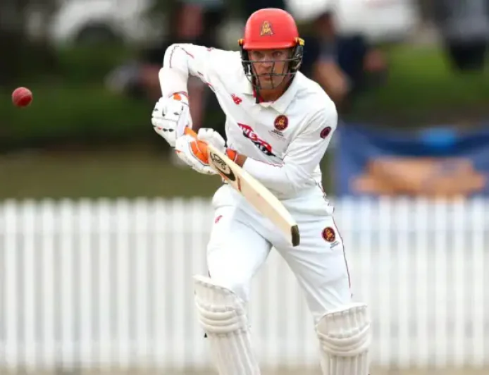 Test star Carey the hero as South Australia win Sheffield Shield final
