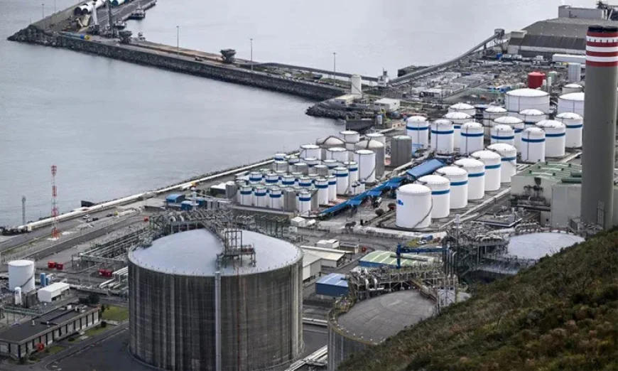 Asia stocks rebound after oil falls sharply