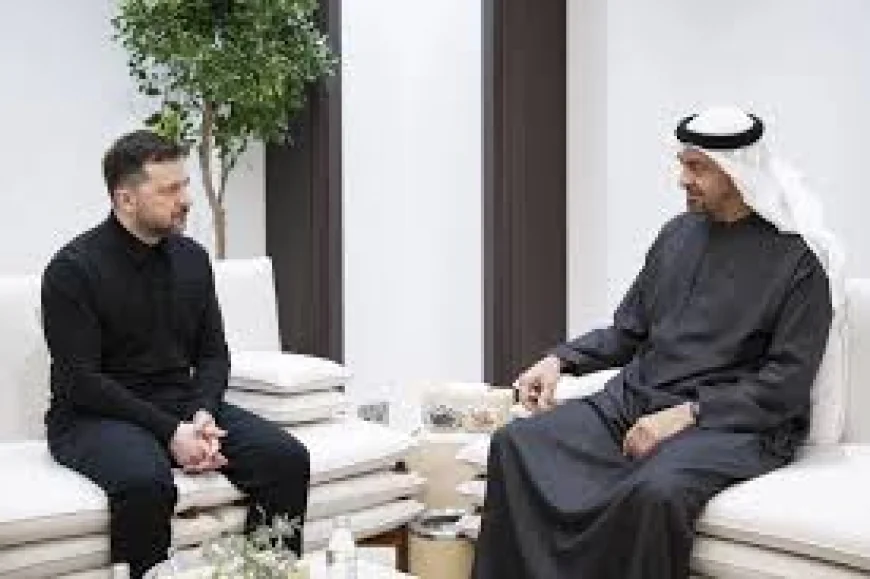 Zelensky says Ukraine, UAE 'agreed to cooperate' on defence