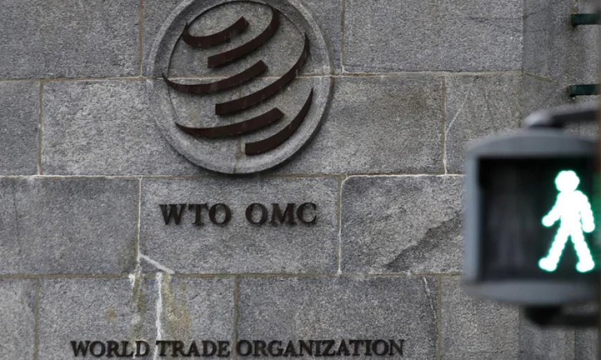 E-commerce tariff exemptions set to lapse as WTO meet ends in failure
